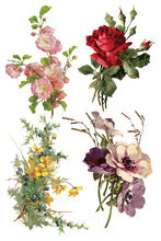 Load image into Gallery viewer, IOD Transfer Catharina Transfer  8" x 12" Pad 8 Sheets Roses Birds Florals