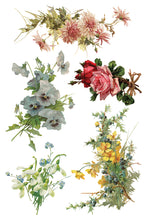 Load image into Gallery viewer, IOD Transfer Catharina Transfer  8" x 12" Pad 8 Sheets Roses Birds Florals