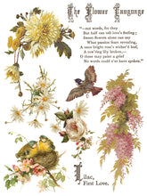 Load image into Gallery viewer, Flowers by the Poets IOD Transfer – 8 Sheets 12x16 – Vintage Botanical Floral Furniture Transfer Decor