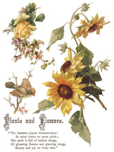 Load image into Gallery viewer, Flowers by the Poets IOD Transfer – 8 Sheets 12x16 – Vintage Botanical Floral Furniture Transfer Decor