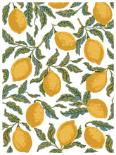 Load image into Gallery viewer, IOD Paint Inlay Portofino 16" x 12" Pad 8 Sheets Decorative Furniture Inlay Limited Quantities