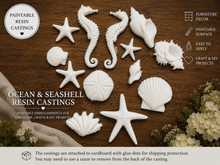 Load image into Gallery viewer, Seashell and Seahorse Resin Castings