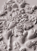 Load image into Gallery viewer, Wild Berries- IOD Decor Furniture Mould 6x10 Iron Orchid Designs Use Clay/Resin for Furniture Jewelry Making Sugar Arts Crafts