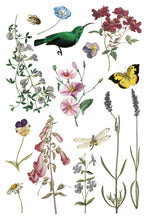 Load image into Gallery viewer, IOD Transfer Wilde Bloemen Transfer  8" x 12" Pad 8 Sheets Spring Wildflowers Botanical Art Insects