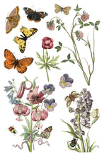 Load image into Gallery viewer, IOD Transfer Wilde Bloemen Transfer  8" x 12" Pad 8 Sheets Spring Wildflowers Botanical Art Insects