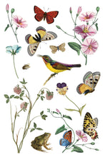 Load image into Gallery viewer, IOD Transfer Wilde Bloemen Transfer  8" x 12" Pad 8 Sheets Spring Wildflowers Botanical Art Insects