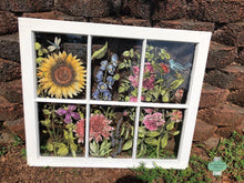 Load image into Gallery viewer, IOD Decorative Furniture Transfer Botanist's Journal 12x16 Pad with 4 Sheets Furniture and Craft Rub On