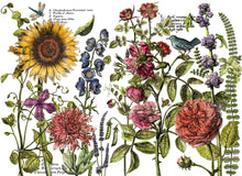Load image into Gallery viewer, IOD Decorative Furniture Transfer Botanist's Journal 12x16 Pad with 4 Sheets Furniture and Craft Rub On
