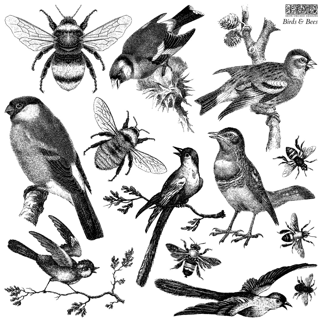 Birds & Bees 12