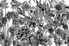Load image into Gallery viewer, JRV Decoupage Paper - Black and White Floral