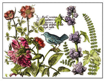 Load image into Gallery viewer, IOD Decorative Furniture Transfer Botanist's Journal 12x16 Pad with 4 Sheets Furniture and Craft Rub On