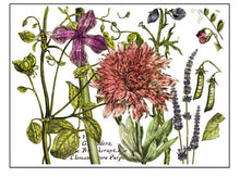 Load image into Gallery viewer, IOD Decorative Furniture Transfer Botanist's Journal 12x16 Pad with 4 Sheets Furniture and Craft Rub On