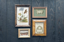 Load image into Gallery viewer, IOD Decorative Furniture Transfer Brocante 16" x 12" Pad 8 Sheets More Also for Craft Projects