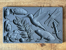 Load image into Gallery viewer, IOD Dewdrop Pond 6x10 Decor Mould
