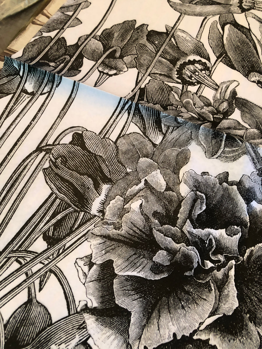 JRV Decoupage Paper Black and White Floral Goodson Vintage Treasures