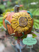Load image into Gallery viewer, Sunflower Pumpkin Kit with IOD Moulds and Clay