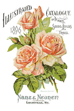 Load image into Gallery viewer, IOD Decorative Furniture Ephemeral Melange Transfer  8" x 12" Pad 8 Sheets