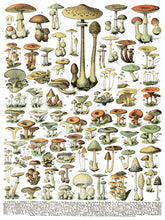 Load image into Gallery viewer, IOD Decorative Furniture Transfer Millot's Pages 16" x 12" Pad 8 Sheets More Also for Craft Projects