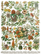 Load image into Gallery viewer, IOD Decorative Furniture Transfer Millot's Pages 16" x 12" Pad 8 Sheets More Also for Craft Projects