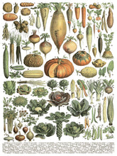 Load image into Gallery viewer, IOD Decorative Furniture Transfer Millot's Pages 16" x 12" Pad 8 Sheets More Also for Craft Projects