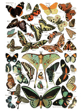 Load image into Gallery viewer, IOD Decorative Furniture Transfer Millot's Pages 16" x 12" Pad 8 Sheets More Also for Craft Projects