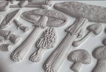 Load image into Gallery viewer, IOD Toadstools  6x10 Decor Mould