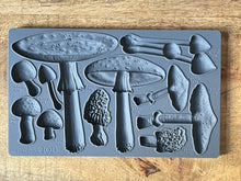 Load image into Gallery viewer, IOD Toadstools  6x10 Decor Mould