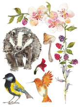 Load image into Gallery viewer, IOD Decorative Furniture Transfer Whispering Willow 16" x 12" Pad 8 Sheets