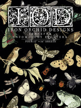 Load image into Gallery viewer, IOD Decorative Furniture Transfer Entomology Etcetera 12" x 16" - Butterflies Perfect for Crafting and Signs