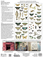 Load image into Gallery viewer, IOD Decorative Furniture Transfer Entomology Etcetera 12" x 16" - Butterflies Perfect for Crafting and Signs