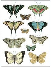 Load image into Gallery viewer, IOD Decorative Furniture Transfer Entomology Etcetera 12" x 16" - Butterflies Perfect for Crafting and Signs