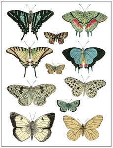 IOD Decorative Furniture Transfer Entomology Etcetera 12" x 16" - Butterflies Perfect for Crafting and Signs