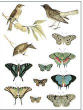 Load image into Gallery viewer, IOD Decorative Furniture Transfer Entomology Etcetera 12" x 16" - Butterflies Perfect for Crafting and Signs