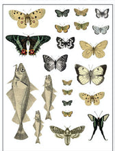 Load image into Gallery viewer, IOD Decorative Furniture Transfer Entomology Etcetera 12" x 16" - Butterflies Perfect for Crafting and Signs