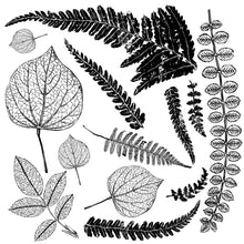 Load image into Gallery viewer, IOD Fronds Stamping Mask for Iron Orchid Designs Fronds Decor Stamp Used to Cover Stamped Areas to Prevent Over Stamping