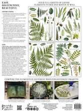 Load image into Gallery viewer, IOD Decorative Furniture Transfer Fronds Botanical 12 x 16 Pad  - Great for Crafts and Signs