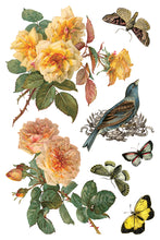Load image into Gallery viewer, By Any Other Name IOD Transfer 8x12 Pad™ Roses
