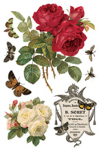 Load image into Gallery viewer, By Any Other Name IOD Transfer 8x12 Pad™ Roses
