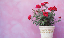 Load image into Gallery viewer, IOD Ditsy Blooms Decorative Furniture &nbsp;Iron Orchid Designs IOD Paint Inlay 16&quot; x 12&quot; PAD™ &nbsp;Roses Bluebells and Ribbons Pink Rose Florals
