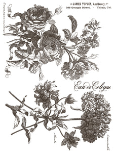 IOD Floriography Decorative Furniture  Iron Orchid Designs IOD Paint Inlay 16" x 12" PAD™  Greytone Floral Vintage Labels Old Time Graphics