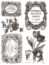 Load image into Gallery viewer, IOD Floriography Decorative Furniture  Iron Orchid Designs IOD Paint Inlay 16&quot; x 12&quot; PAD™  Greytone Floral Vintage Labels Old Time Graphics
