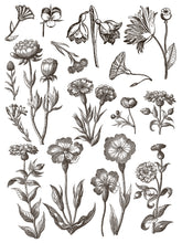 Load image into Gallery viewer, IOD Floriography Decorative Furniture  Iron Orchid Designs IOD Paint Inlay 16&quot; x 12&quot; PAD™  Greytone Floral Vintage Labels Old Time Graphics
