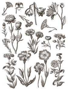 IOD Floriography Decorative Furniture  Iron Orchid Designs IOD Paint Inlay 16" x 12" PAD™  Greytone Floral Vintage Labels Old Time Graphics