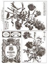 Load image into Gallery viewer, IOD Floriography Decorative Furniture  Iron Orchid Designs IOD Paint Inlay 16&quot; x 12&quot; PAD™  Greytone Floral Vintage Labels Old Time Graphics
