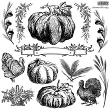 Load image into Gallery viewer, Autumn Blessings 12&quot;x12&quot;  Decor Stamp - Great for Furniture, Crafts and Home Decor Pumpkins Turkey
