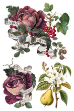 Load image into Gallery viewer, Clementine IOD Transfer 8x12 Pad Rub On Furniture Crafts Iron Orchid Designs Floral Designs Wildflowers like Daisies
