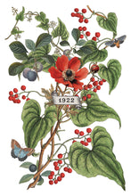 Load image into Gallery viewer, Clementine IOD Transfer 8x12 Pad Rub On Furniture Crafts Iron Orchid Designs Floral Designs Wildflowers like Daisies
