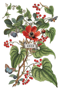 Clementine IOD Transfer 8x12 Pad Rub On Furniture Crafts Iron Orchid Designs Floral Designs Wildflowers like Daisies