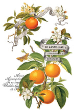 Load image into Gallery viewer, Clementine IOD Transfer 8x12 Pad Rub On Furniture Crafts Iron Orchid Designs Floral Designs Wildflowers like Daisies

