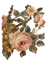 Load image into Gallery viewer, IOD Decorative Furniture Transfer Joie des Roses 12x16 Pad with 8 Sheets Furniture and Craft Rub On
